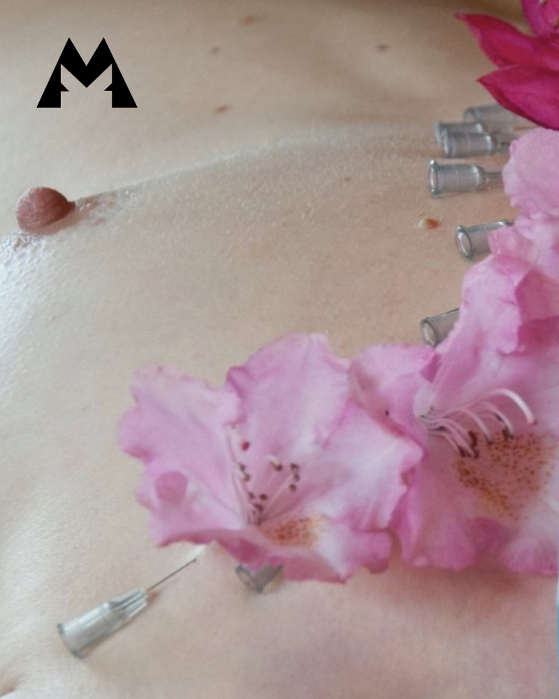 Agenda website MINK (4)